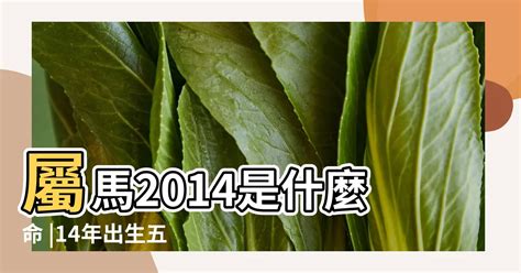 2014屬馬|【2014屬什麼】2014生肖馬的命運—屬馬2014五行命理解析！